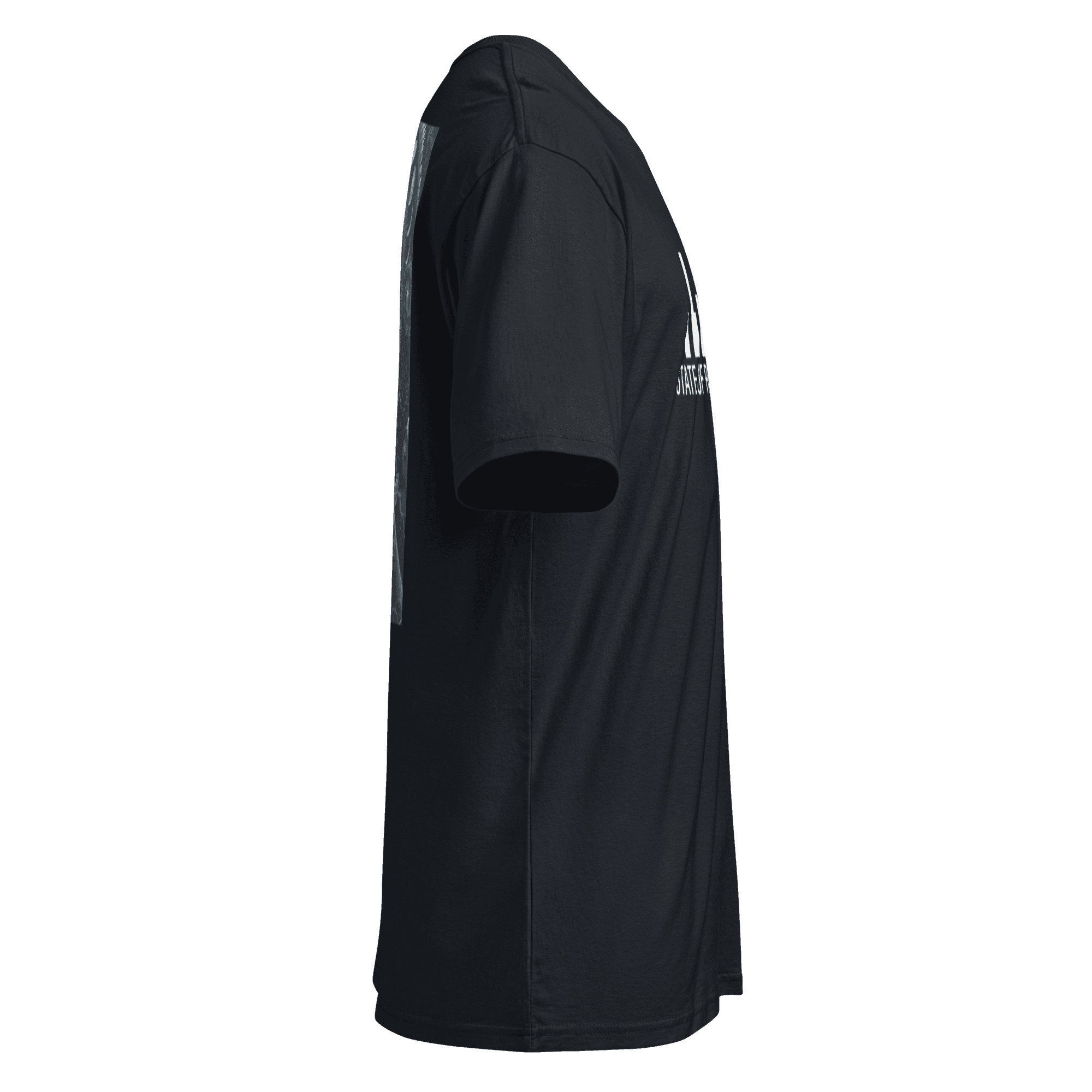 talisman of The Sacred Heart - State of Resonance