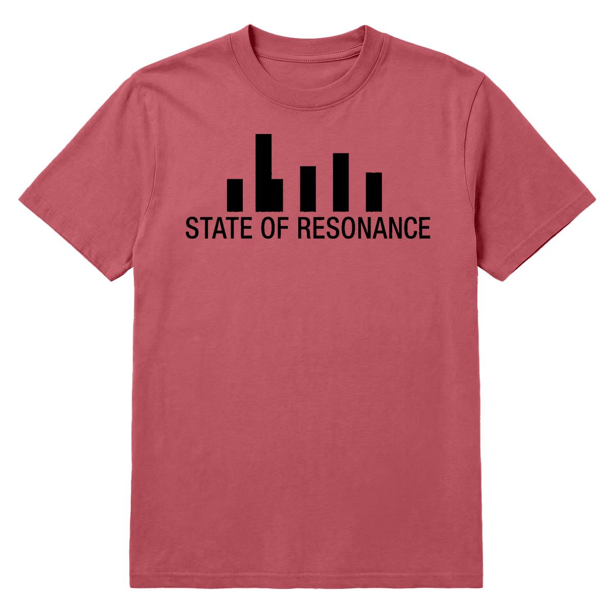 The Monochord heavyweight tee, dark edition, view 5 — State of Resonance