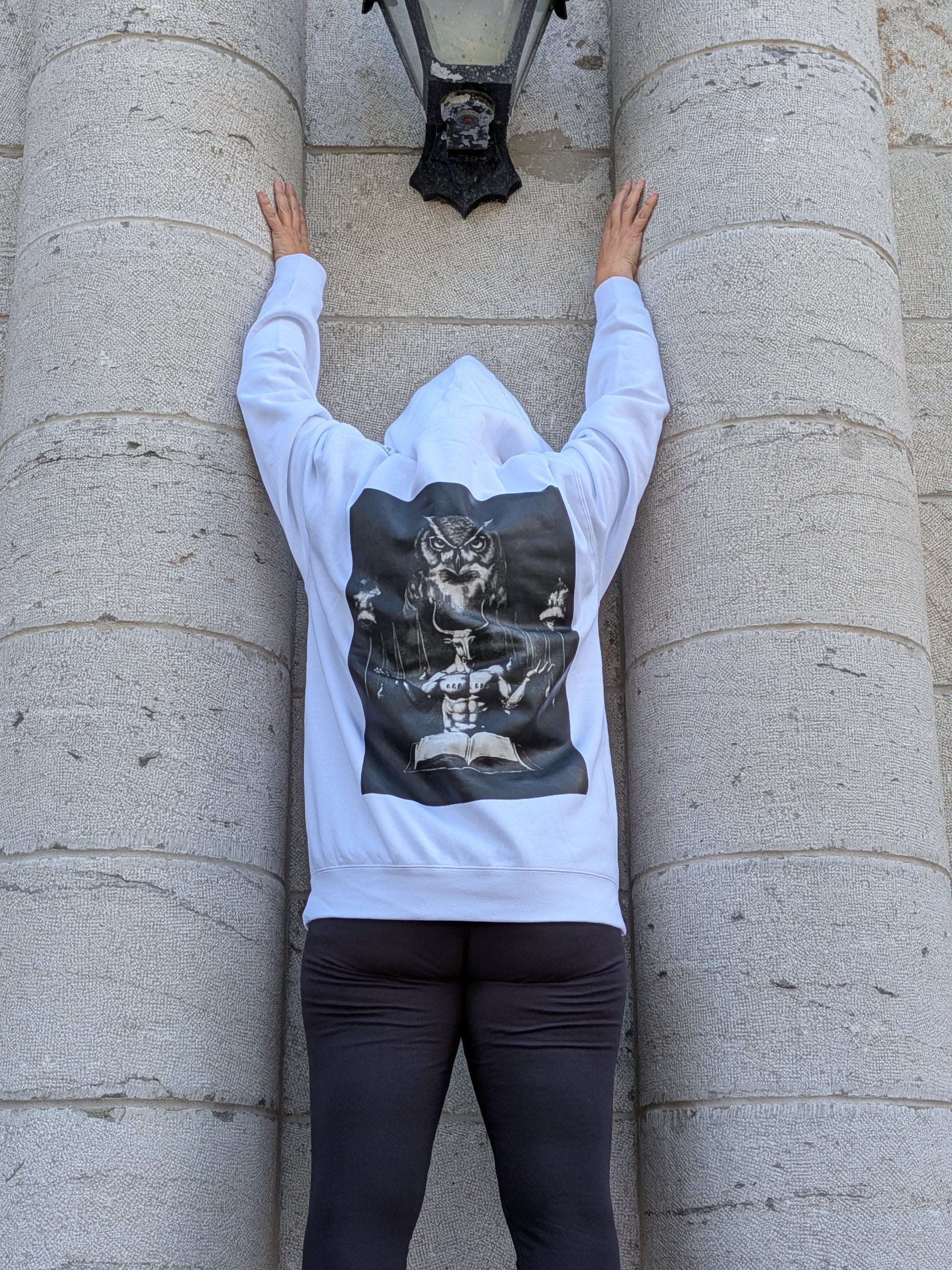 Owl of Gnosis Hoodie — back view showing esoteric owl graphic